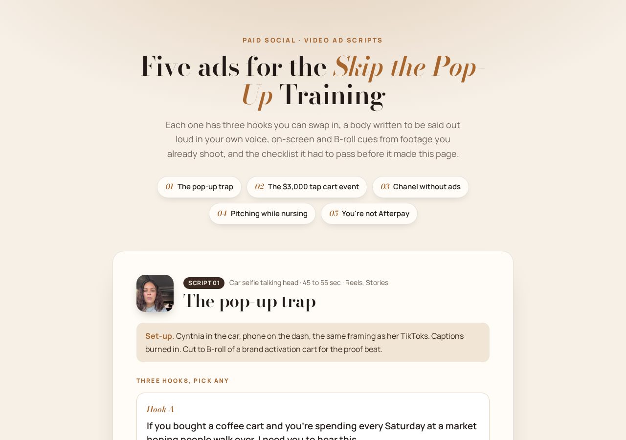 Ad creative scripts preview